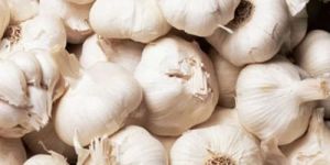 Fresh White Garlic