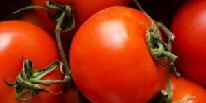 Natural Red Tomato