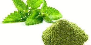 Spray Dried Mint Powder