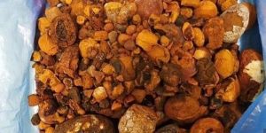 Ox Gallstone