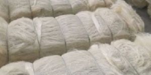 Sisal Fiber