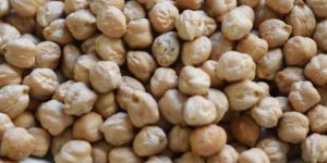 White Chickpeas
