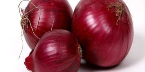 Fresh Red Onion