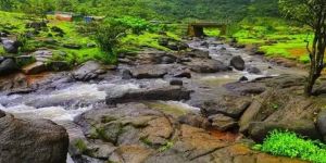 Nagpur to Chandrapur Cab Service