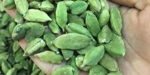 Green Cardamom