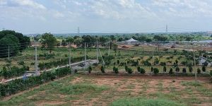 Plot Selling