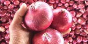 Red Onion