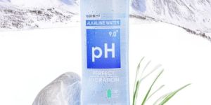 Odishi Alkaline Water 700ml