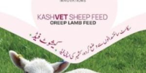 Kashvet Creep Lamb Feed