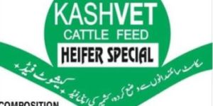 Heifer Royalfed Cattle Feed