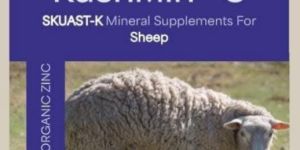 Kashvet Kashmin-S mineral mixture