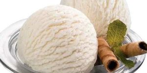 Vanilla Ice Cream Cup