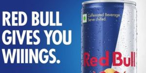 Red Bull Energy Drink