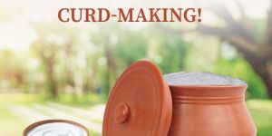 Clay Curd Making Clay Pot