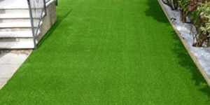 Artificial Grass