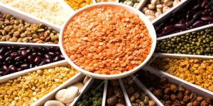 Indian Pulses