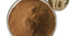 Cistanche Tubulosa Extract