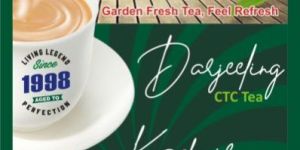 Tea Franchise Consulting Services