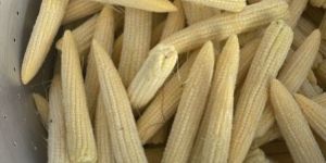 Fresh Baby Corns