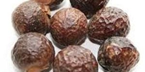 Soapnuts