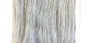 Membrane Bio-Reactor