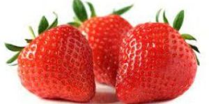 Fresh Red Strawberry