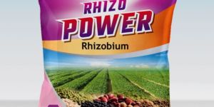 Rhizobium Talc Based Biofertilizer