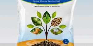 VAM Vesicular Arbuscular Mycorrhiza