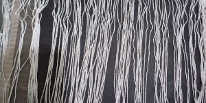 Viscose Fringes