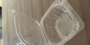 Strawberry Burger Punnet