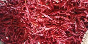 Dry Chillies