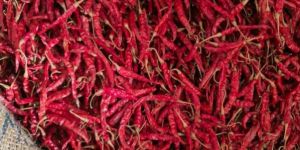 Red Chillies