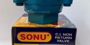 Cast Iron Boring Check Valve