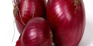 Fresh Red Onion