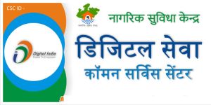 GST Consultant Service