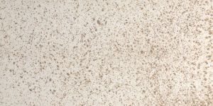 sandy wood quartz slab