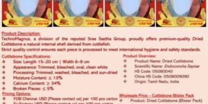 Cuttlefish Bone