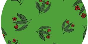 Green and Red Floral Print Fabric