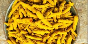 Dried Turmeric Finger