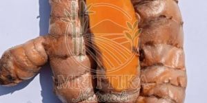 Lakadong Turmeric Finger