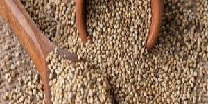 Natural Pearl Millet Seeds