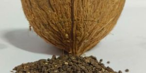 Coconut Shell Chips