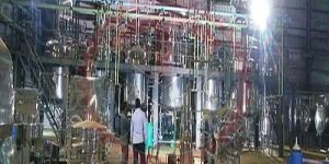 Saffron Color Extraction Plant