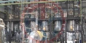 Seed and Berry Antioxidants Extraction Plant