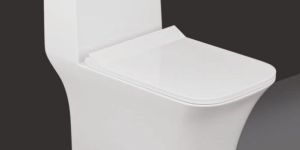 dl 101 danton one-piece western commode