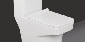 dl 101 delano one-piece western commode
