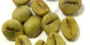 PB Robusta Parchment Washed Coffee Beans