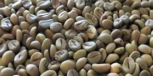 Robusta Cherry AA Unwashed Green Coffee Beans