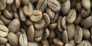 Robusta Cherry B Unwashed Coffee Beans