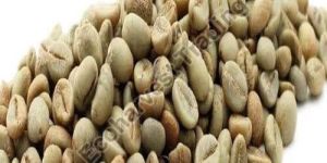 Robusta Cherry PB Unwashed Coffee Beans